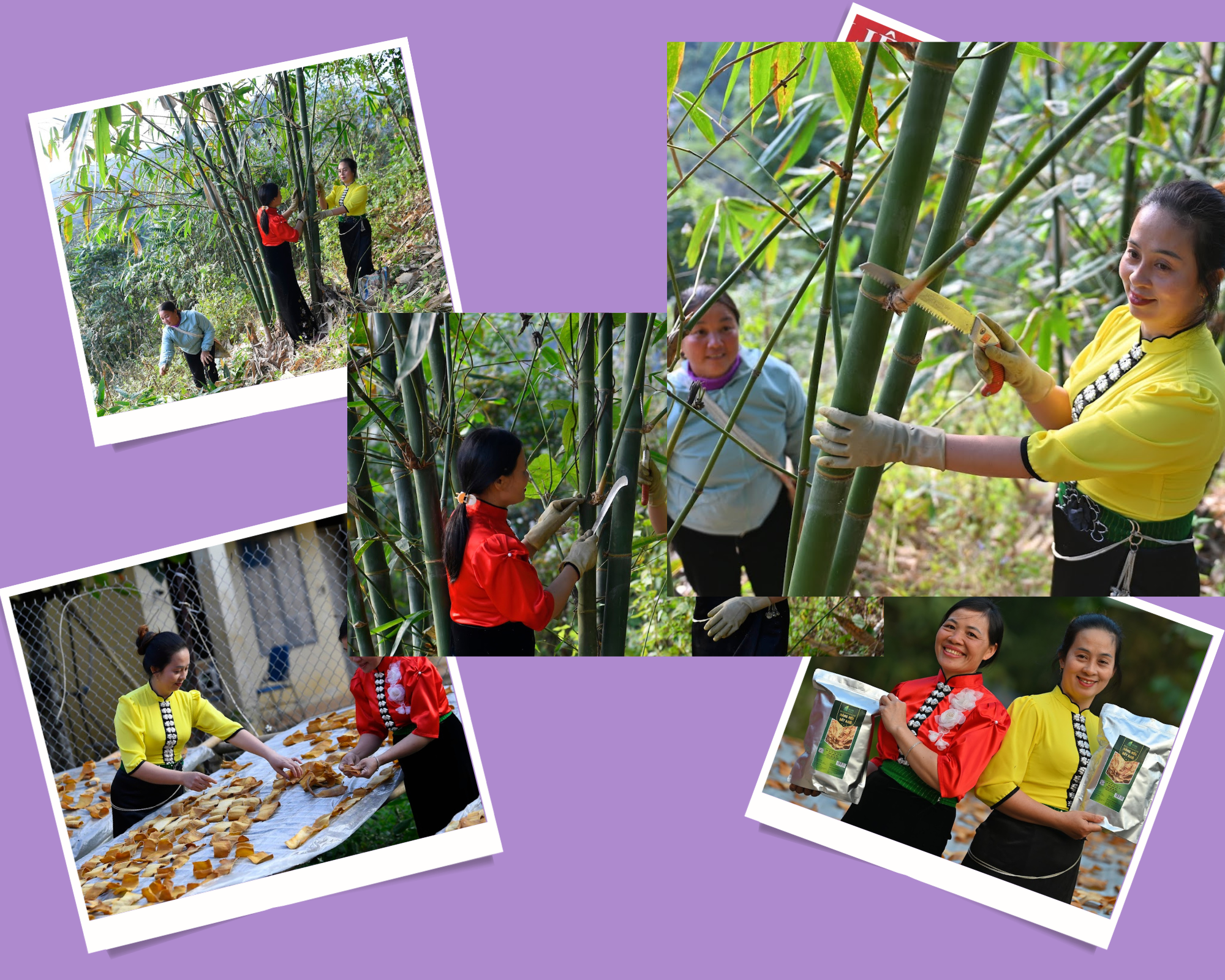 Bản sao của Màu Trung Tính Bộ Ảnh Ghép Chủ Đề Bạn Bè Họa Tiết Vẽ Tay Tranh Ghép Ảnh