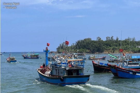 Lever le "carton jaune" de l’INN : un tournant pour la pêche vietnamienne